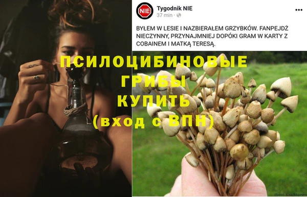 кокаин премиум Волосово